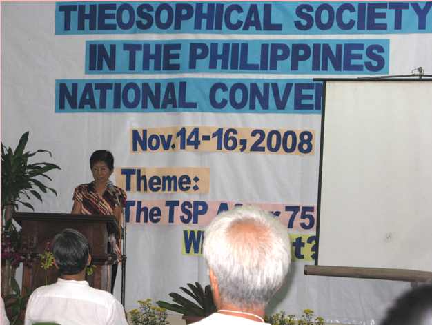 2008 convention